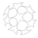 شعار البطولة