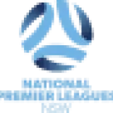 شعار البطولة