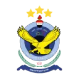 القوة الجوية