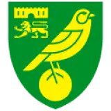 نورويتش سيتي