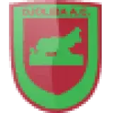 دجوليبا المالي