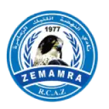 نهضة الزمامرة