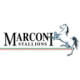 ماركوني ستاليونز